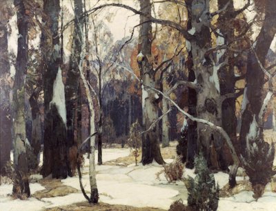 Forest Vistas by John Fabian Carlson